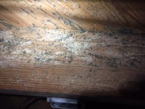 moisture in crawlspace