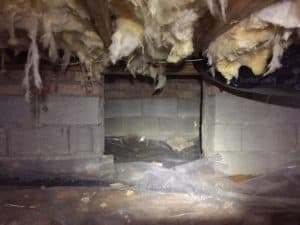 Crawlspace Problems & Damaged Insulation With Moisture NC