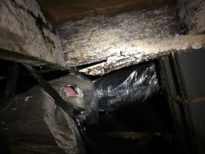 Crawlspace Problems