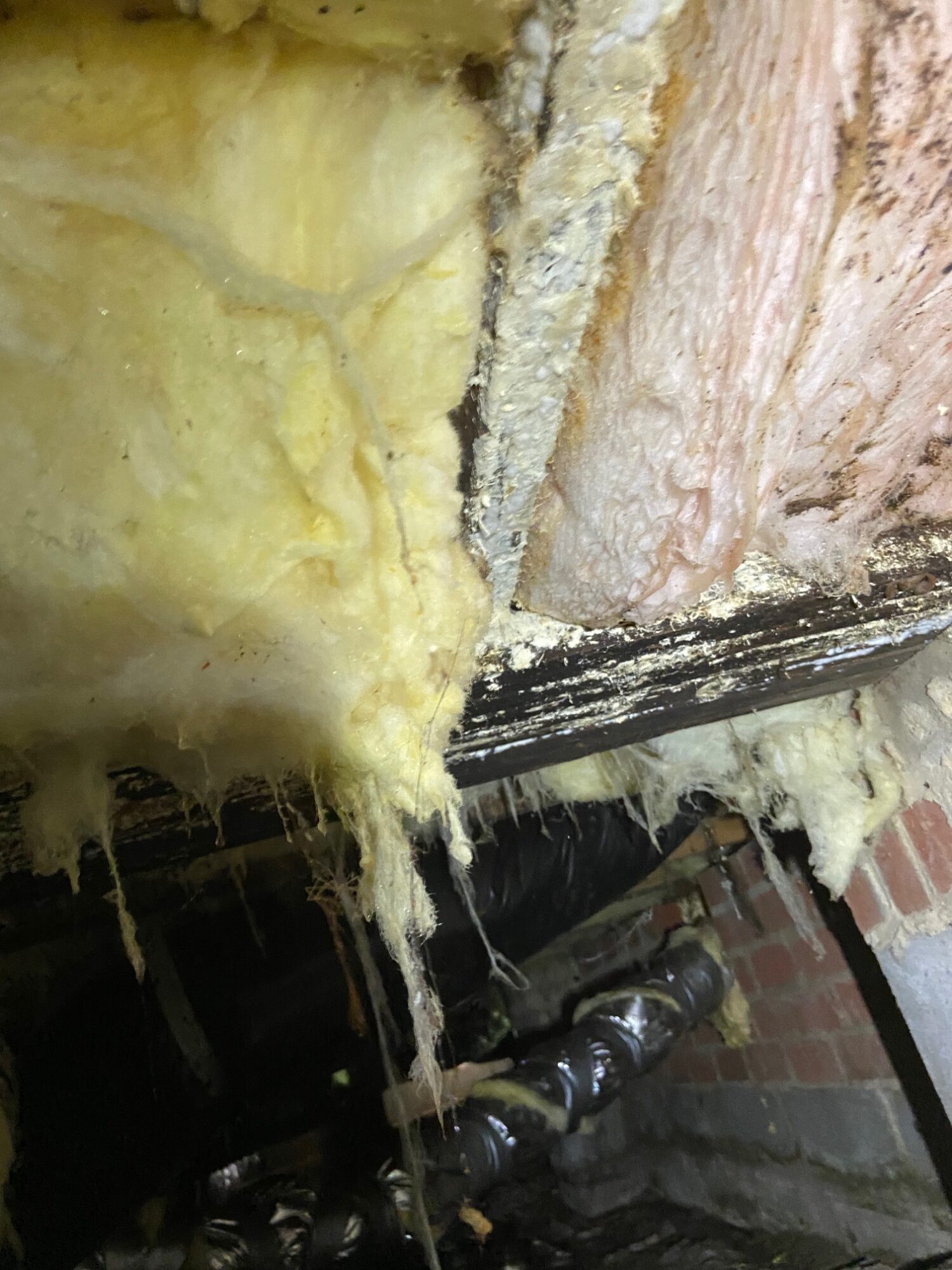 insulation