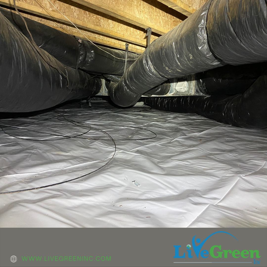 live green encapsulated crawl space