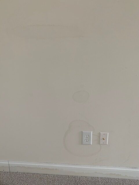 mold and moisture in wall