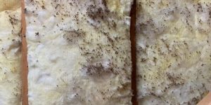 insulation mold
