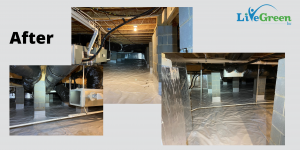 sealed crawl space after