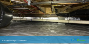 is there mold in your crawl space