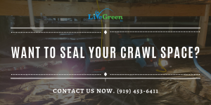 seal your crawl space