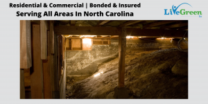 seal crawl space solution