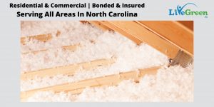 attic insulation
